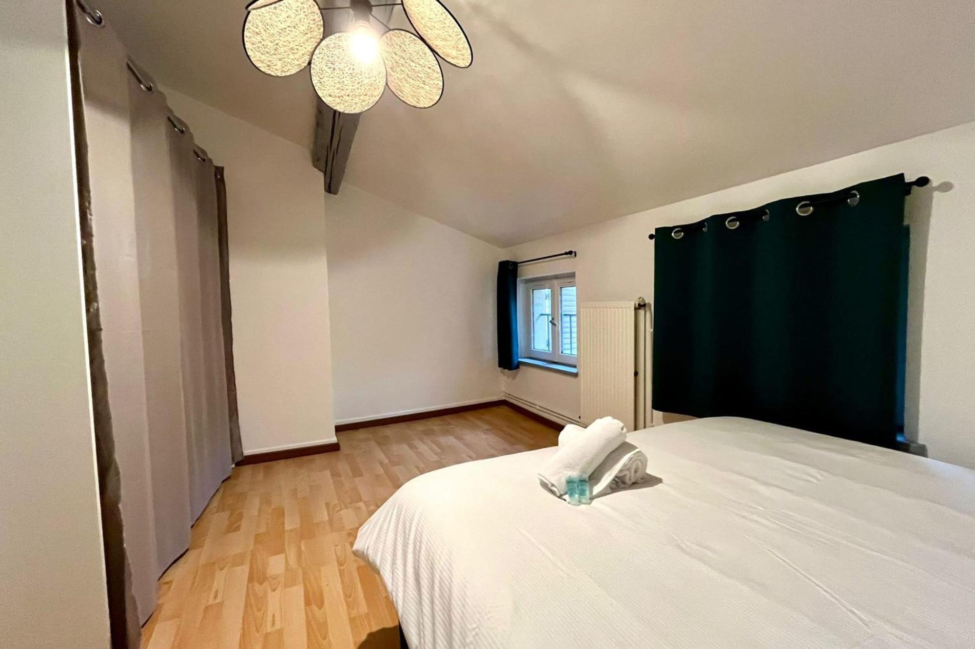 Le Duplex Des Dames Appartement Nancy Buitenkant foto