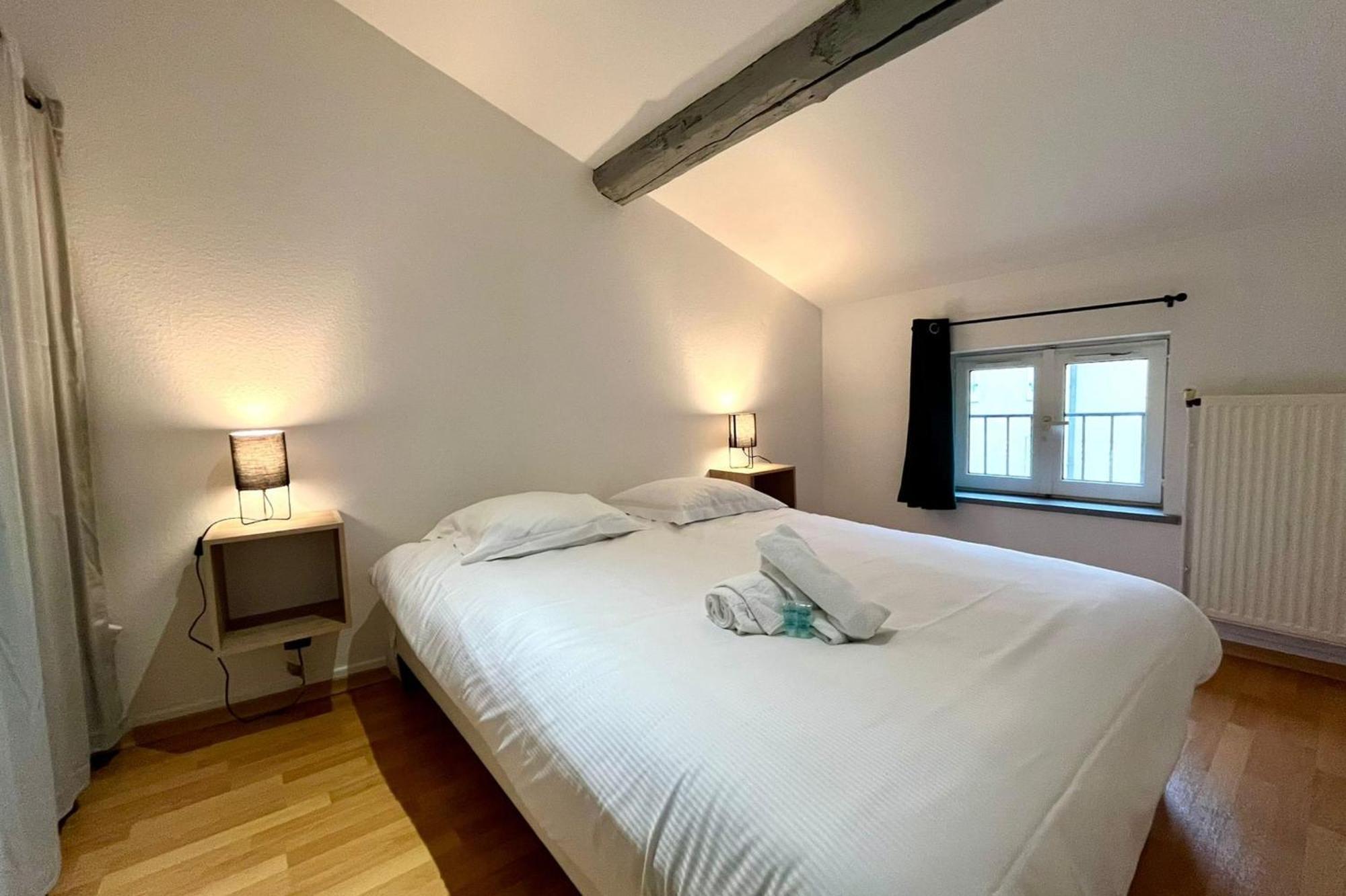 Le Duplex Des Dames Appartement Nancy Buitenkant foto